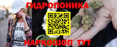 spice Усть-Илимск