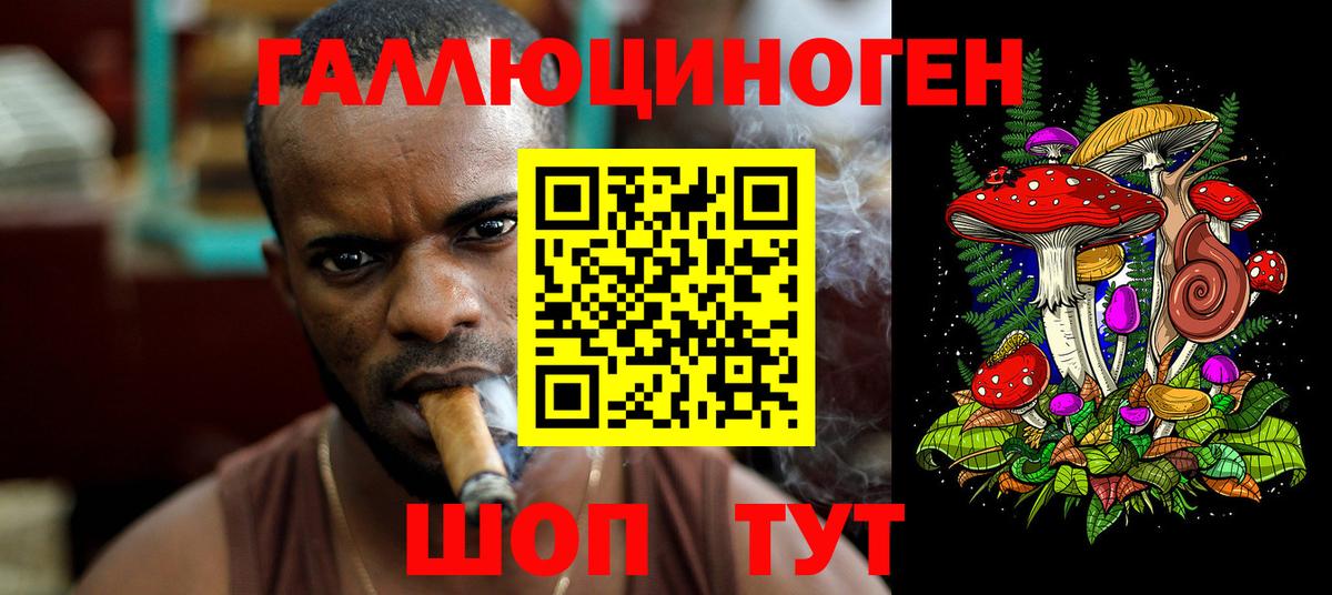 Галлюциногенные грибы GOLDEN TEACHER  Вход с VPN  Псилоцибиновые грибы прущие грибы  Батайск 